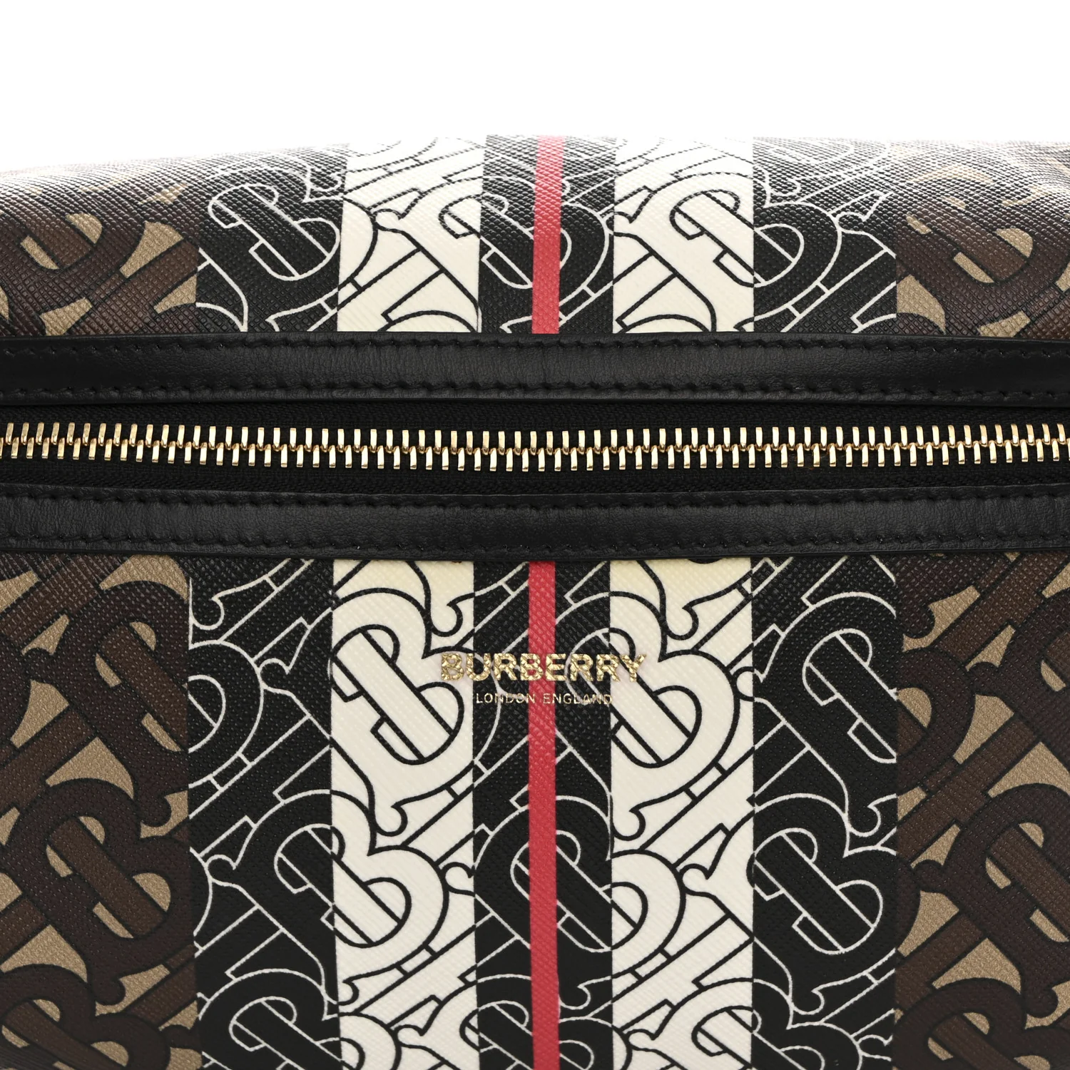 E-Canvas Monogram Stripe Medium Sonny Bum Bag Bridle Brown - Image 8