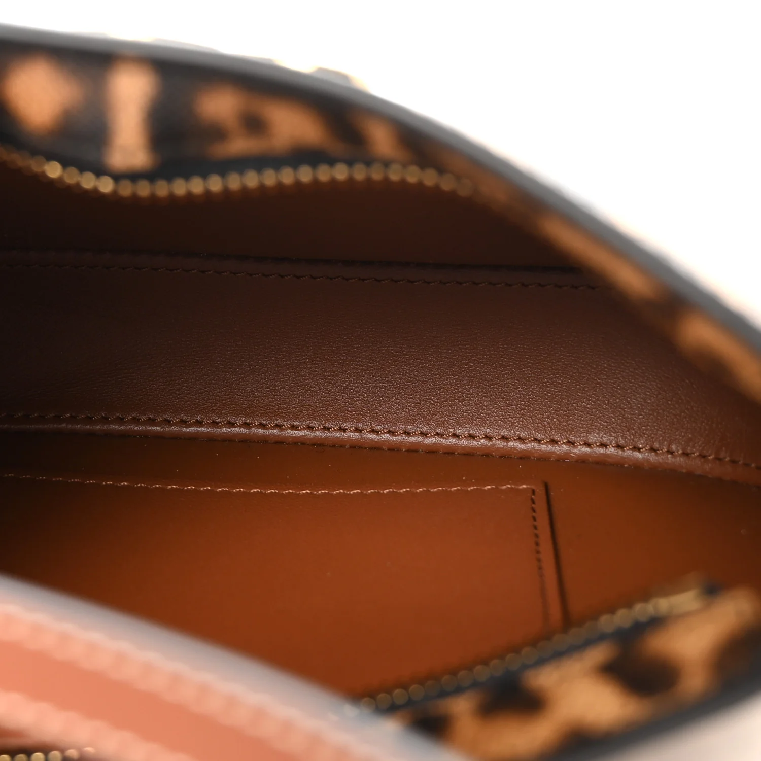 Canvas Calfskin Medium Tilly Triomphe Shoulder Bag Leopard - Image 5