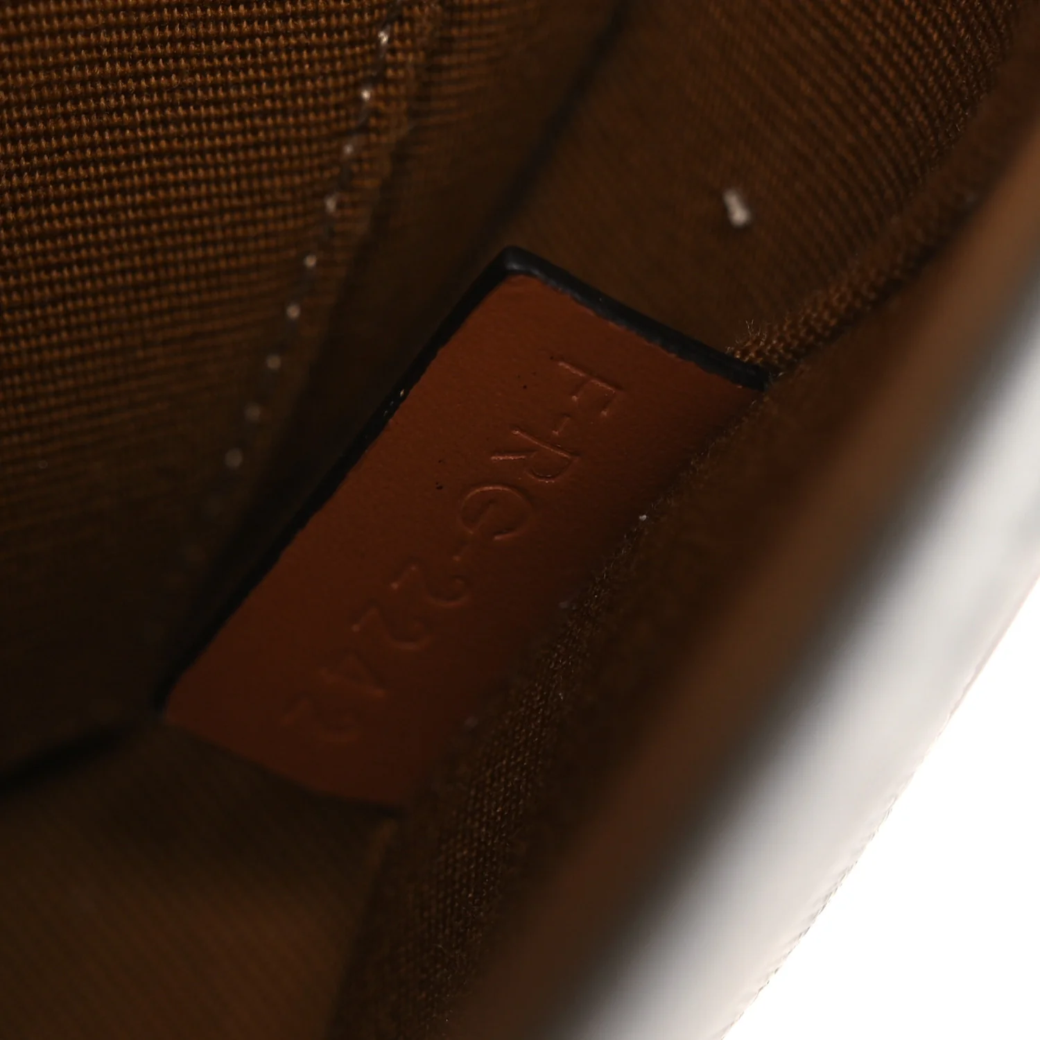 Canvas Calfskin Triomphe Mini Besace Tan - Image 6