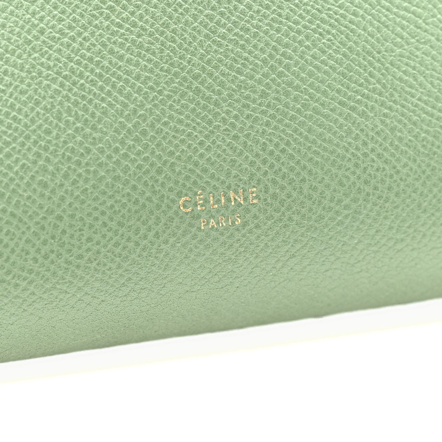 Grained Calfskin Mini Belt Bag Mint - Image 6