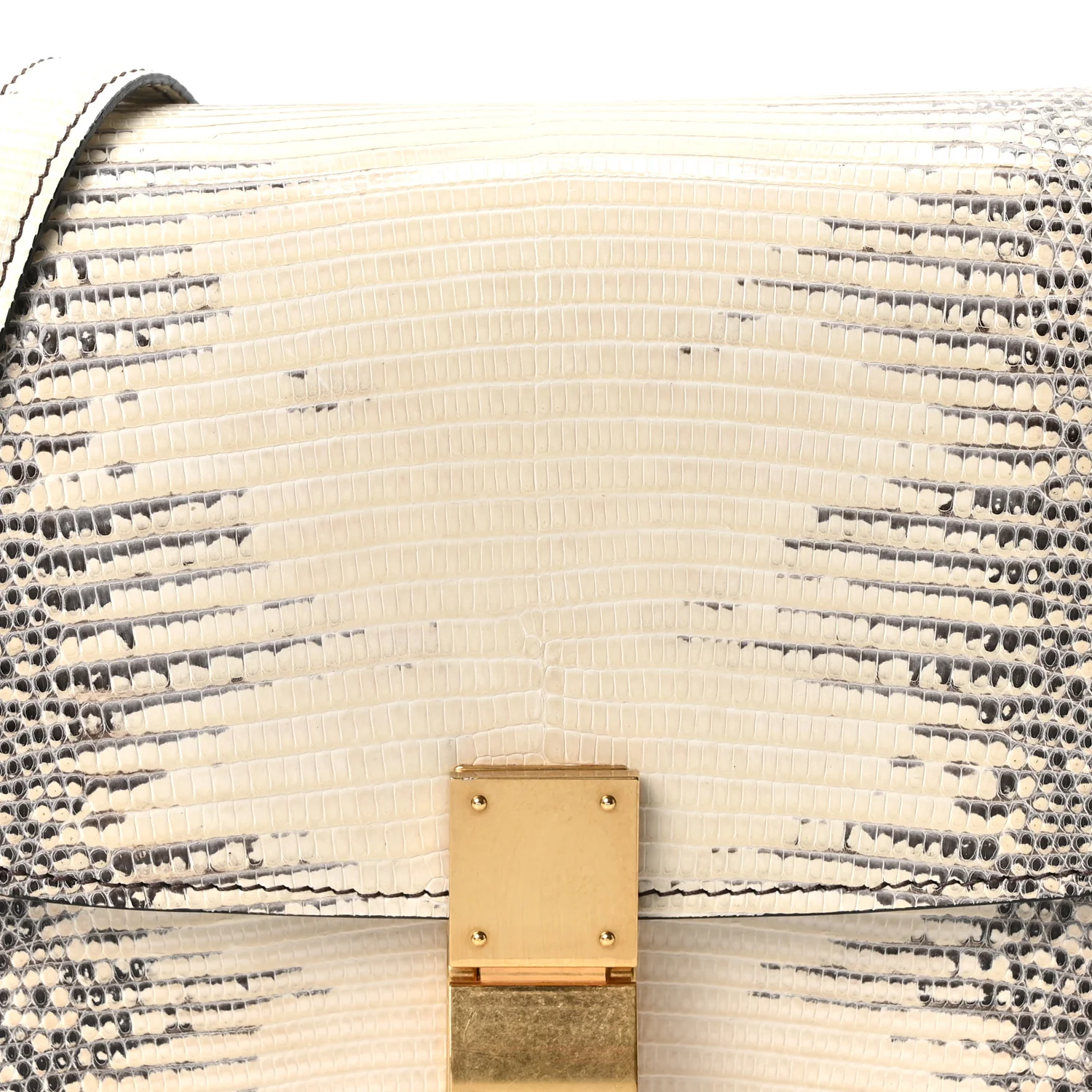 Lizard Small Classic Box Flap Bag Natural - Image 8