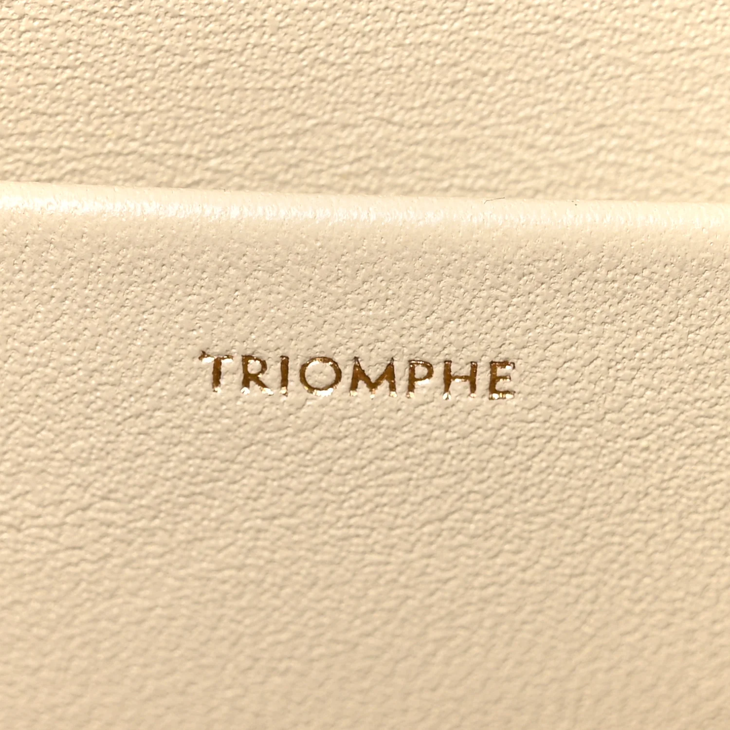 Natural Calfskin Triomphe Shoulder Bag Pampa - Image 8