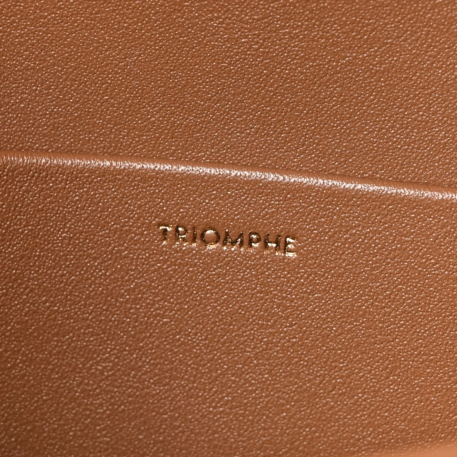 Shiny Calfskin Medium Triomphe Bronze - Image 6