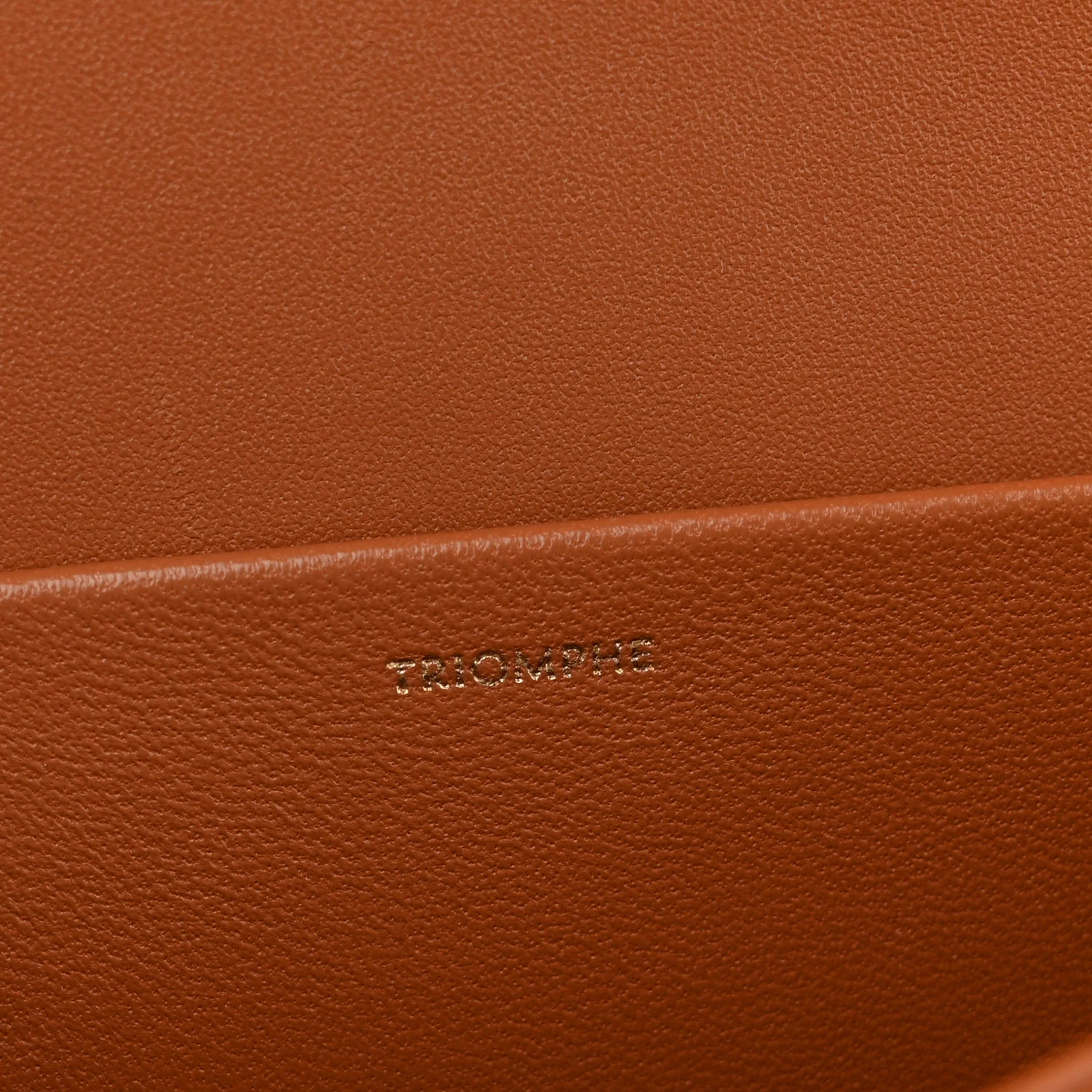 Triomphe Canvas Calfskin Medium Triomphe Bag Tan - Image 7