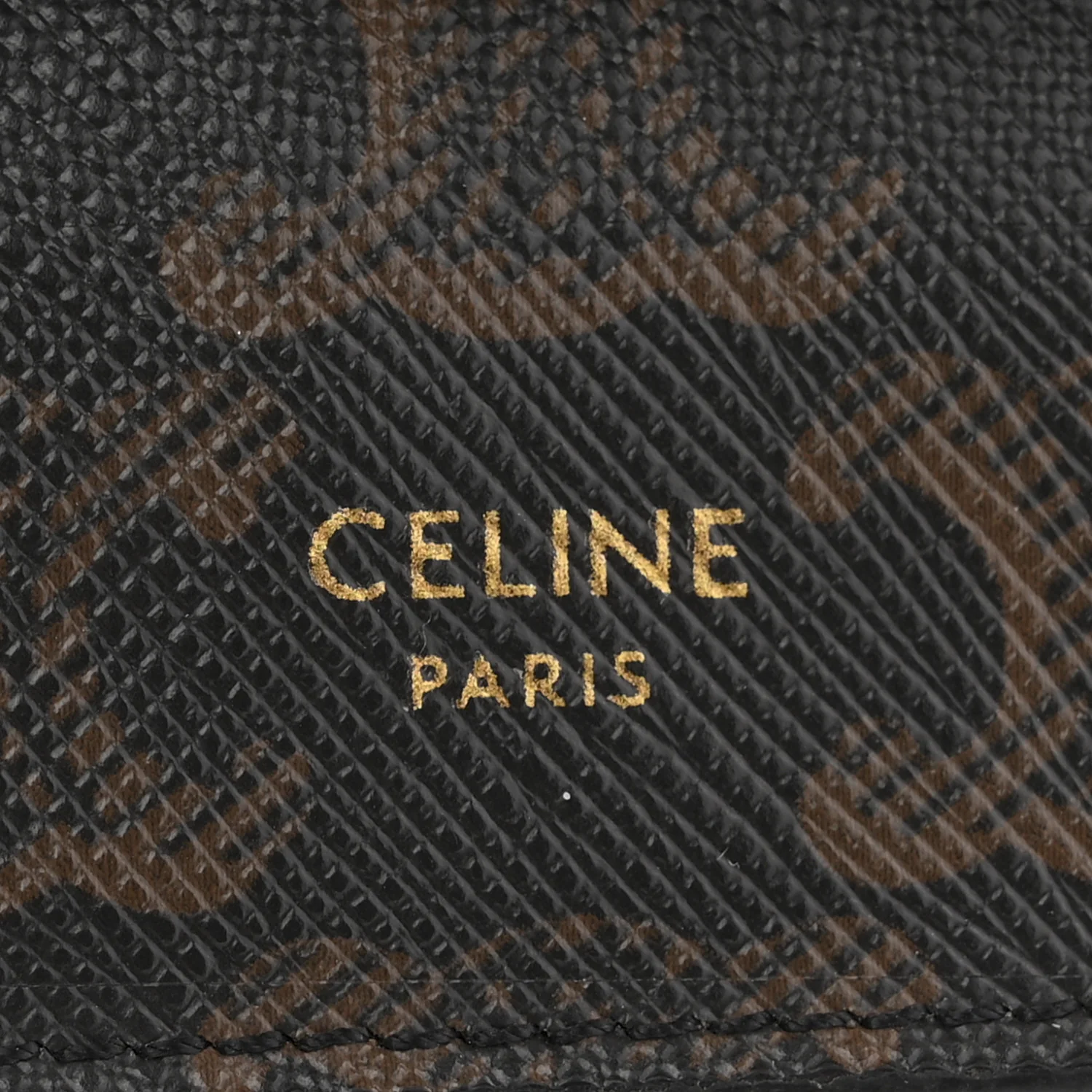 Triomphe Canvas Lambskin Wallet On Strap Tan - Image 7