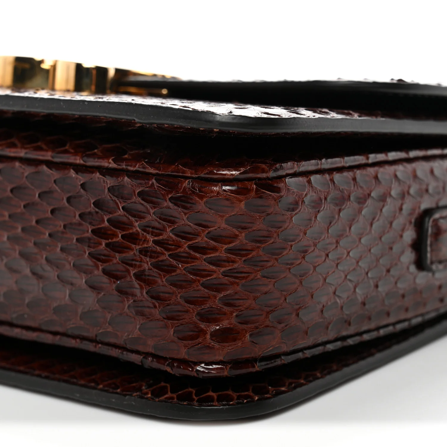 Watersnake Teen Triomphe Brown - Image 10