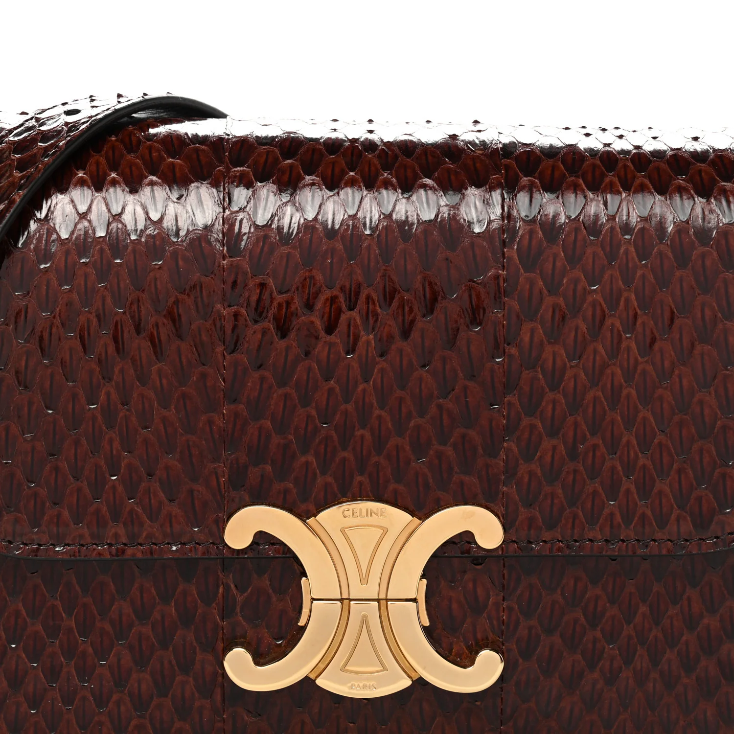 Watersnake Teen Triomphe Brown - Image 8