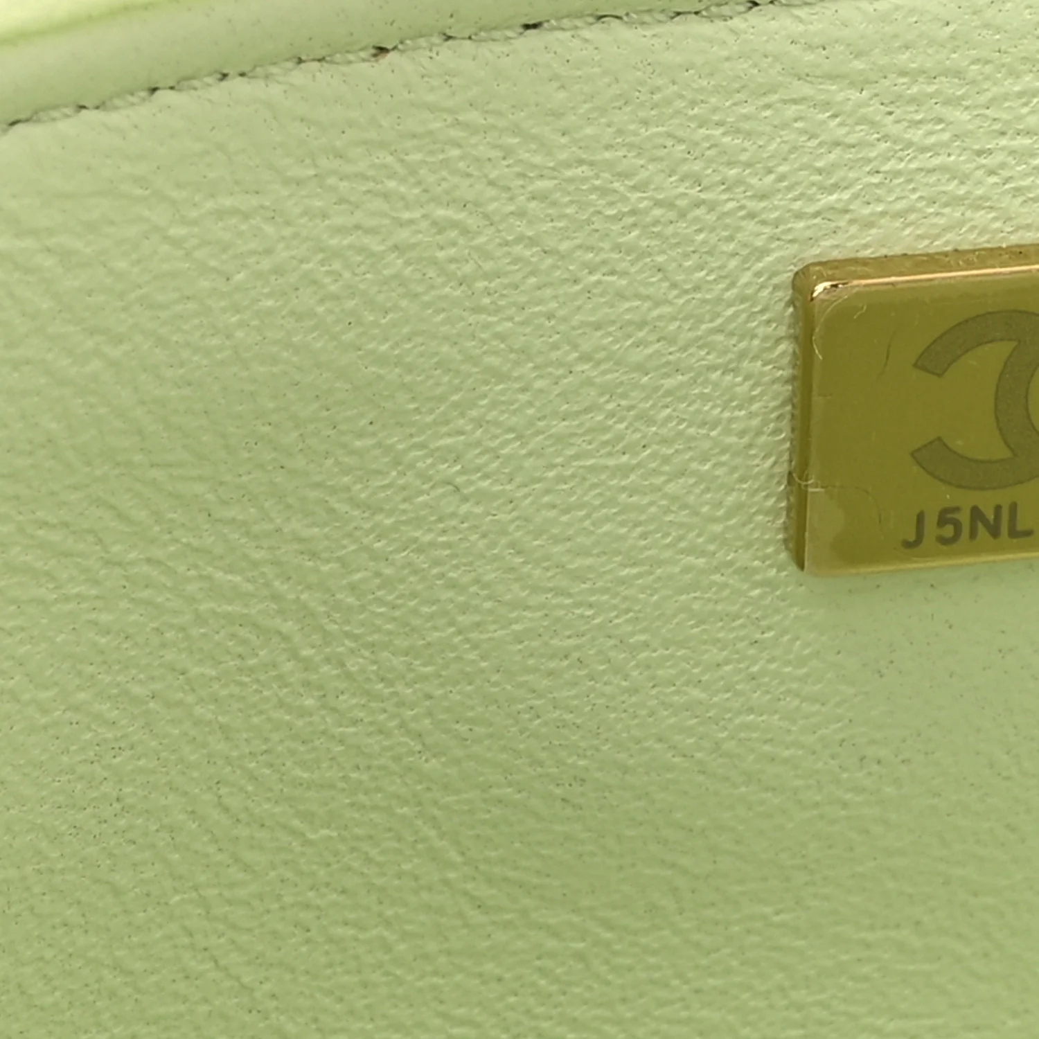 Lambskin Quilted Trendy Vanity Case Sea Green - Image 7