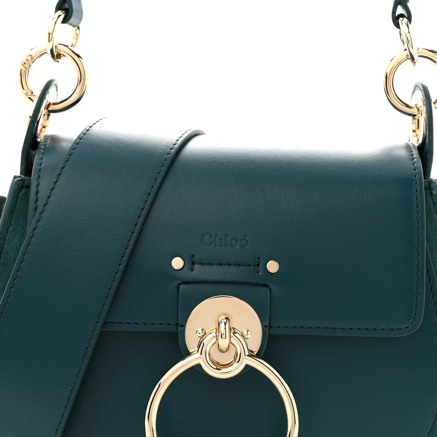 Calfskin Small Tess Bag Rain Forest - Image 8