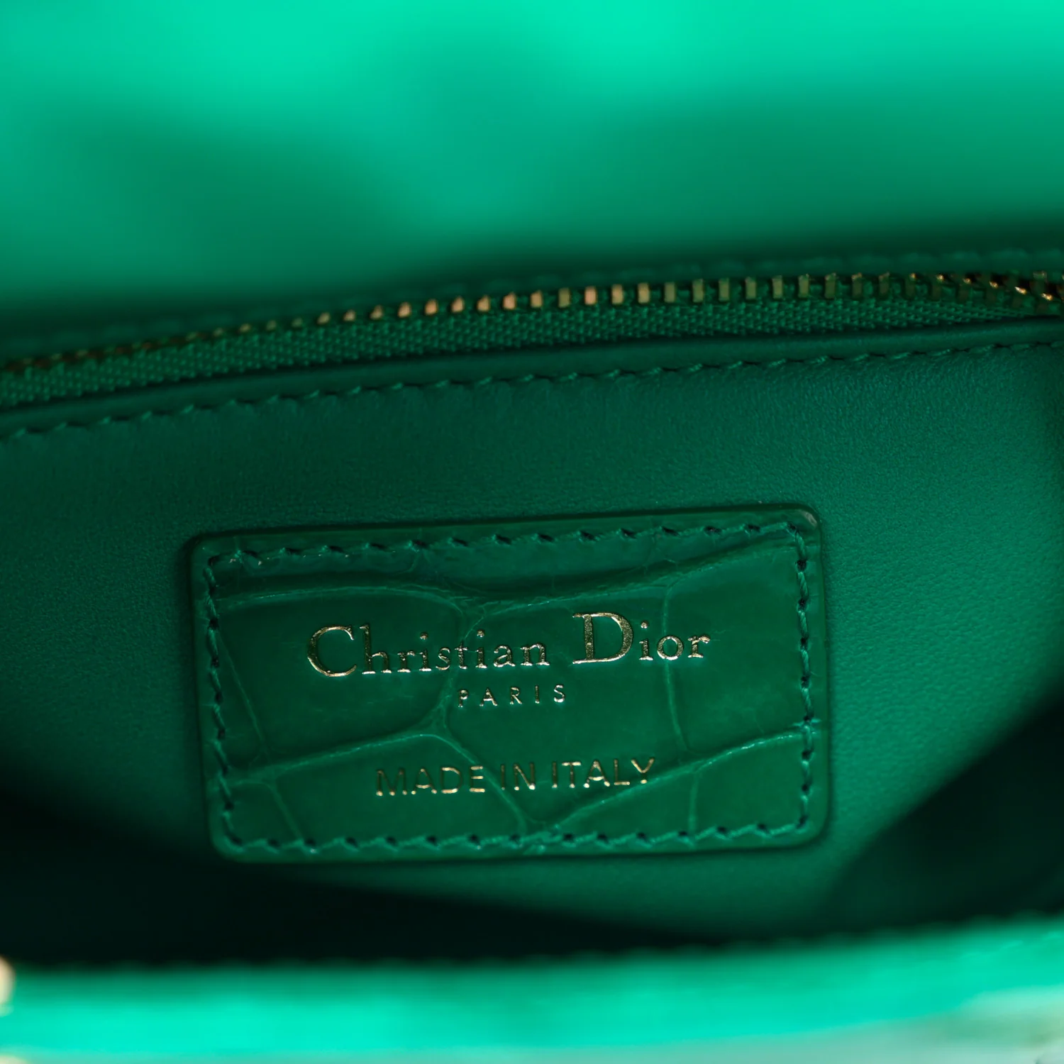 Alligator Swarovski Crystal Mini Lady Dior Green - Image 6