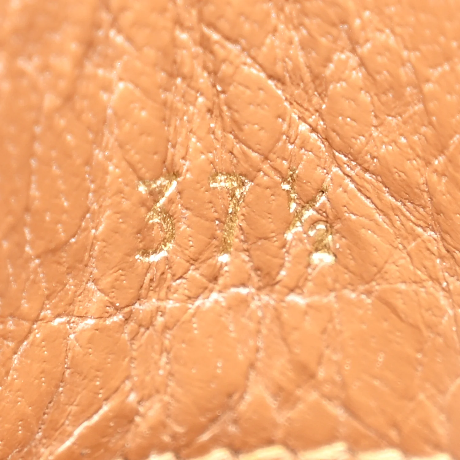 Calfskin Studs Emilia Pyraclou Boots 37.5 Terra - Image 8