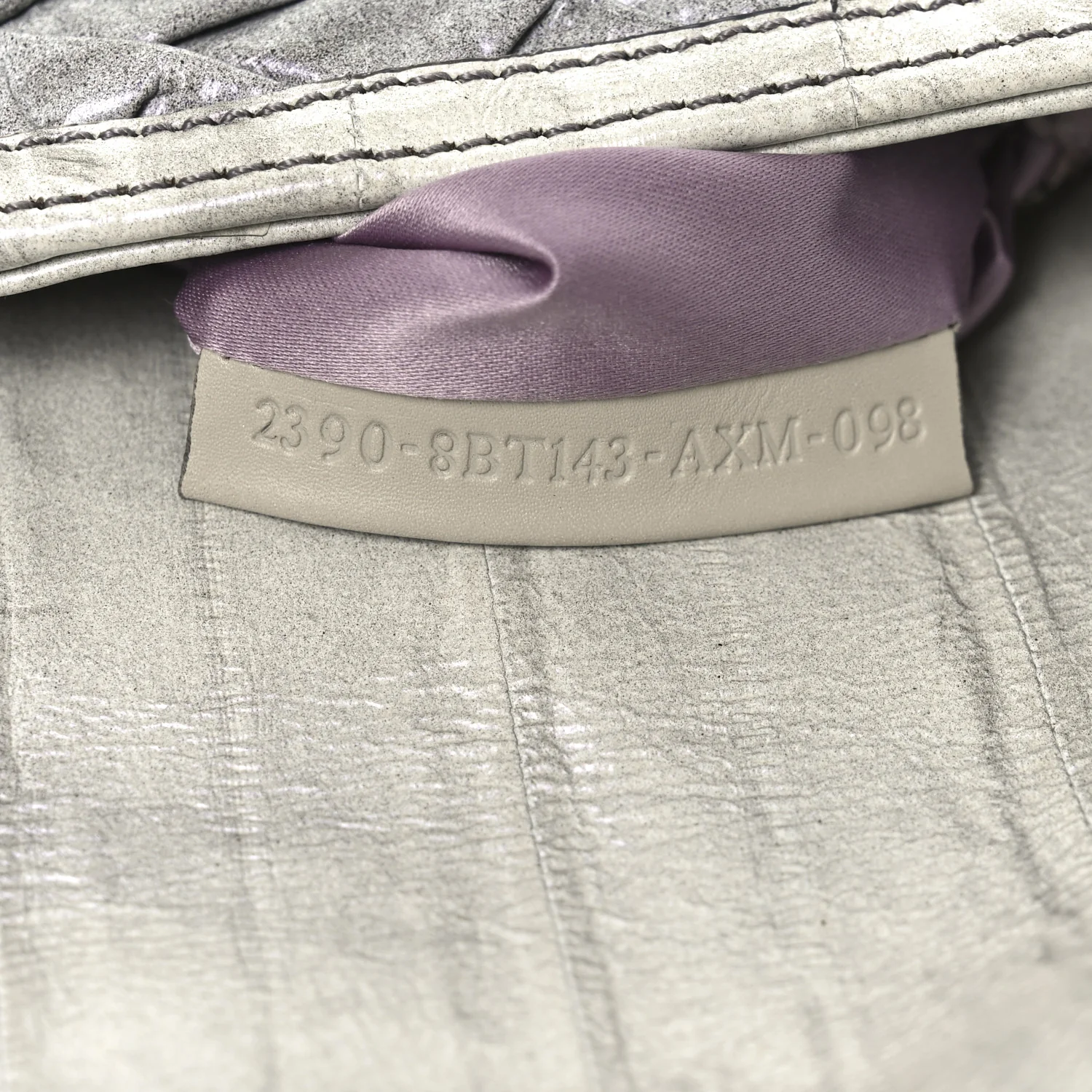 Iridescent Eelskin Maxi Chain Baguette Bag Grey Multicolor - Image 7