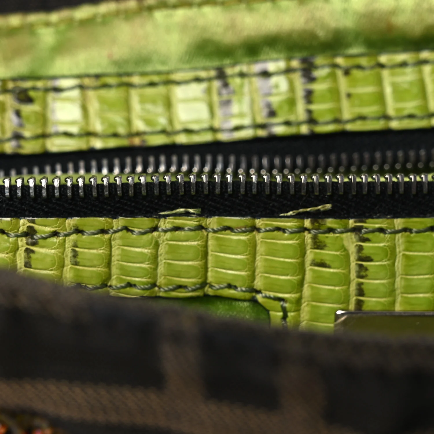 Zucca Lizard Embroidered Baguette Tobacco Green Multicolor - Image 15