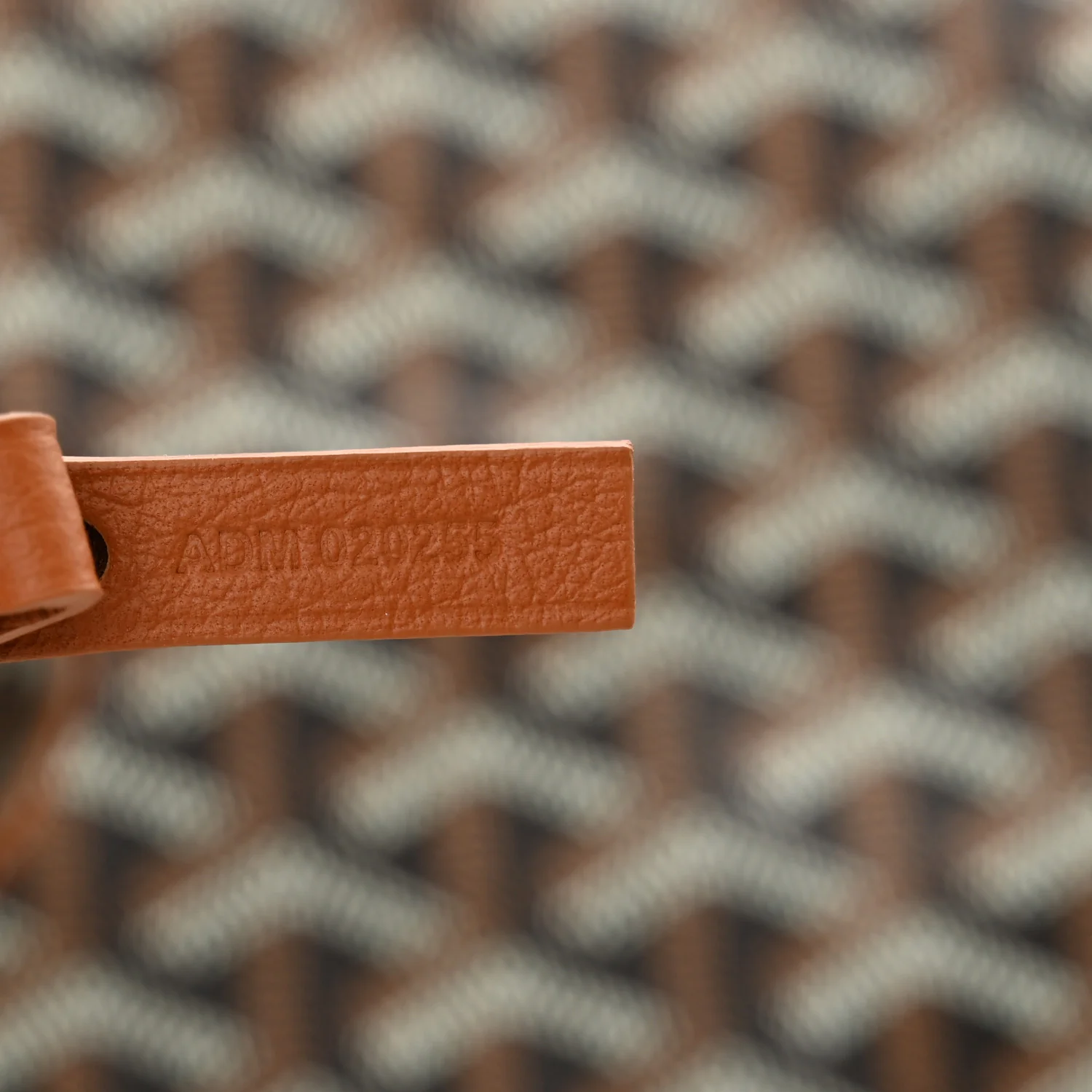 Goyardine Saint Louis PM Black Gold - Image 8