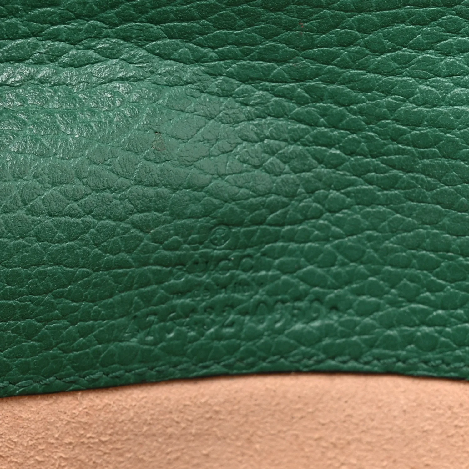 Dollar Calfskin Crystal Super Mini Dionysus Shoulder Bag Emerald - Image 11