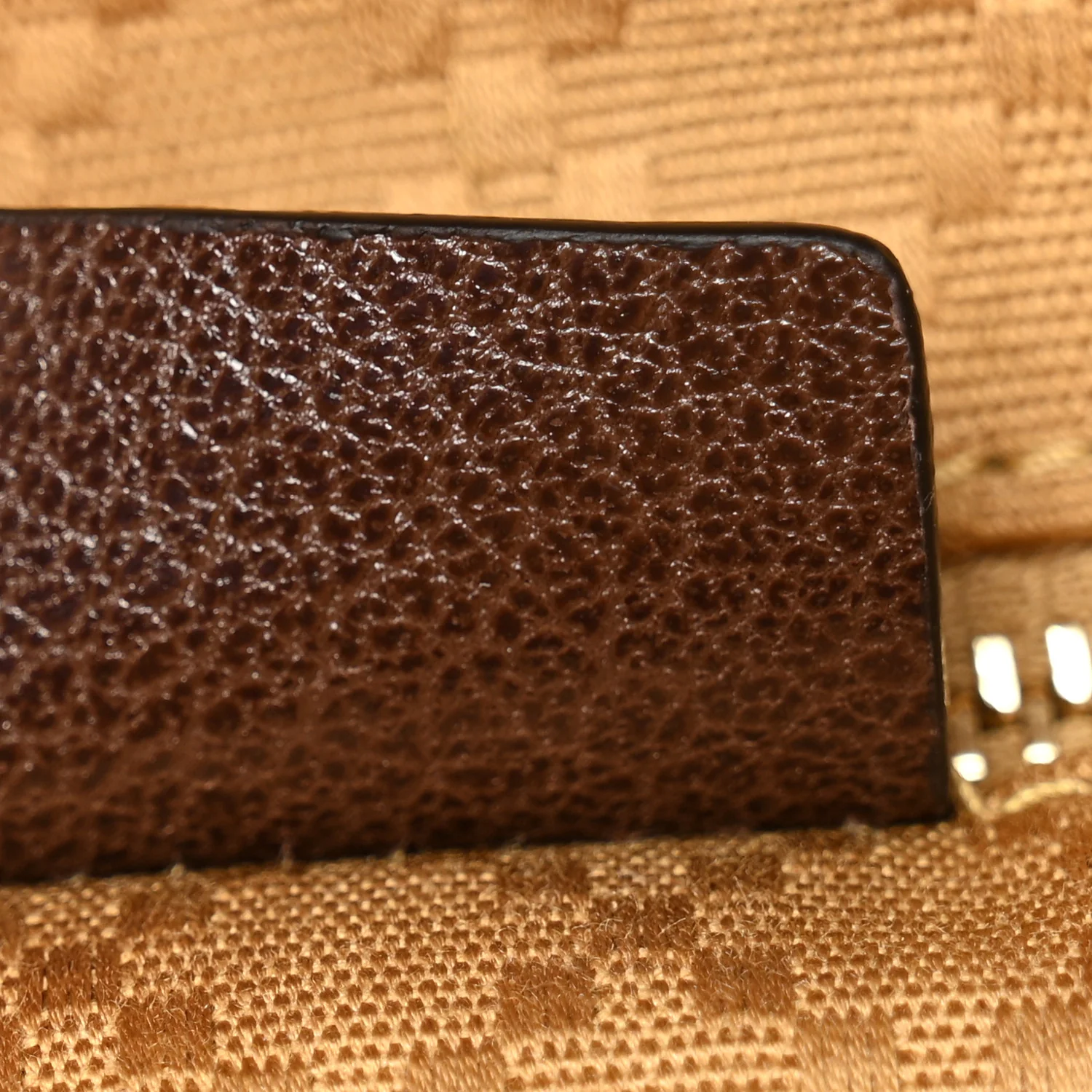 GG Monogram Brera Crossbody Sand Brown - Image 12