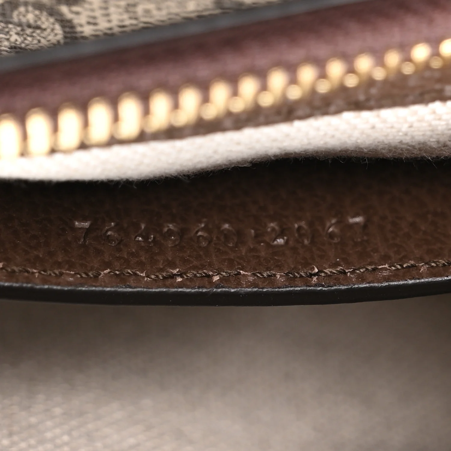 GG Supreme Monogram Textured Dollar Calfskin Mini Ophidia Chain Bag Beige Ebony - Image 7
