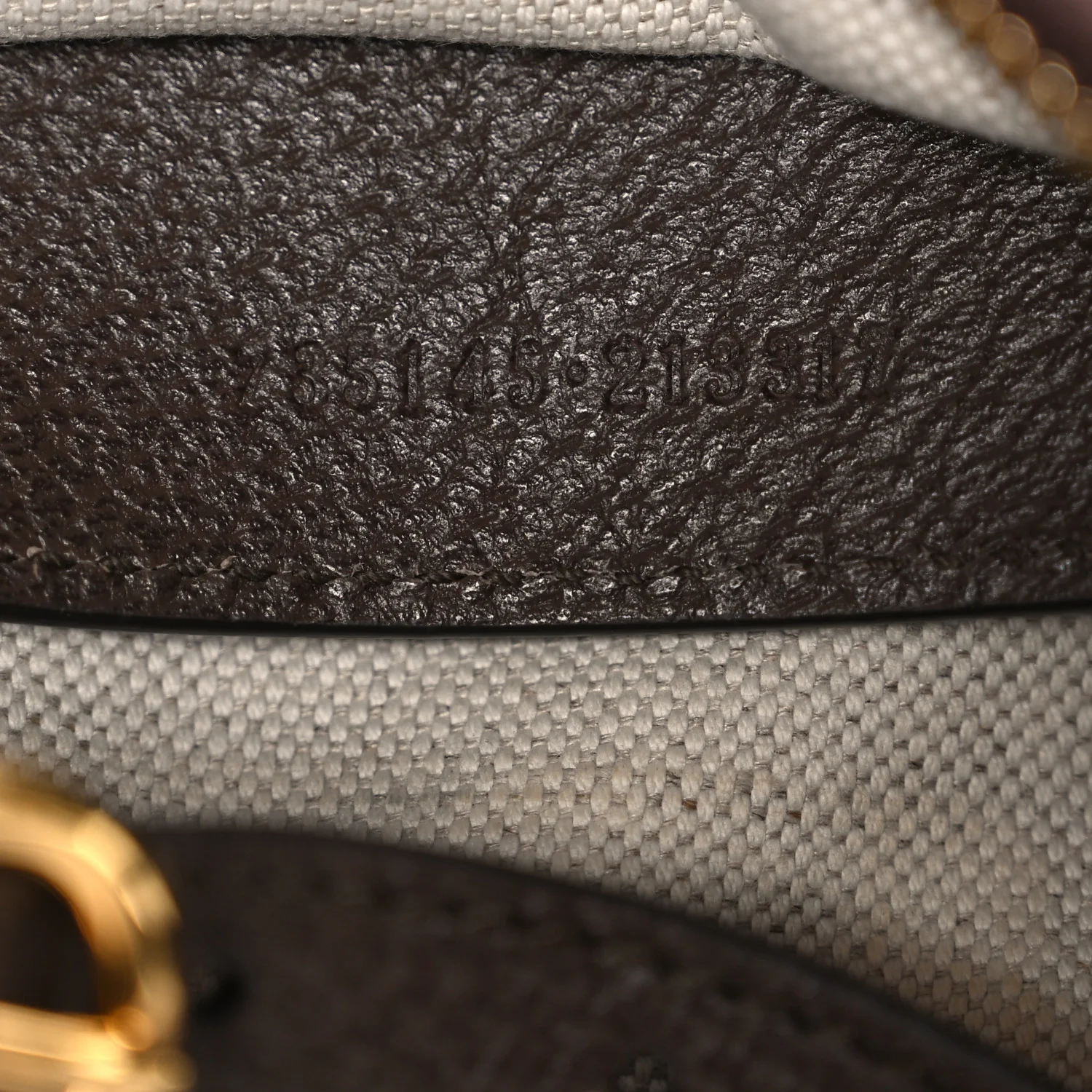 GG Supreme Monogram Textured Dollar Calfskin Small Ophidia Hobo Beige Ebony New Acero - Image 7