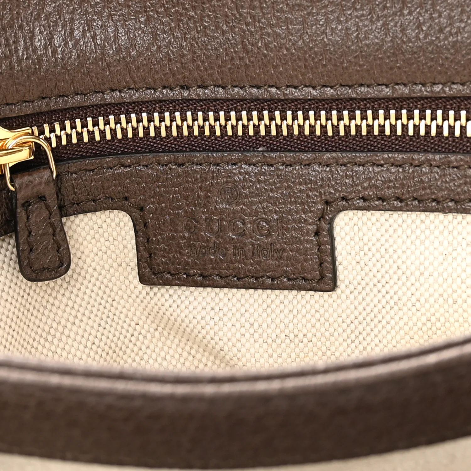 GG Supreme Monogram Textured Dollar Calfskin Web Medium Blondie Shoulder Flap Bag Beige Ebony New Acero - Image 10