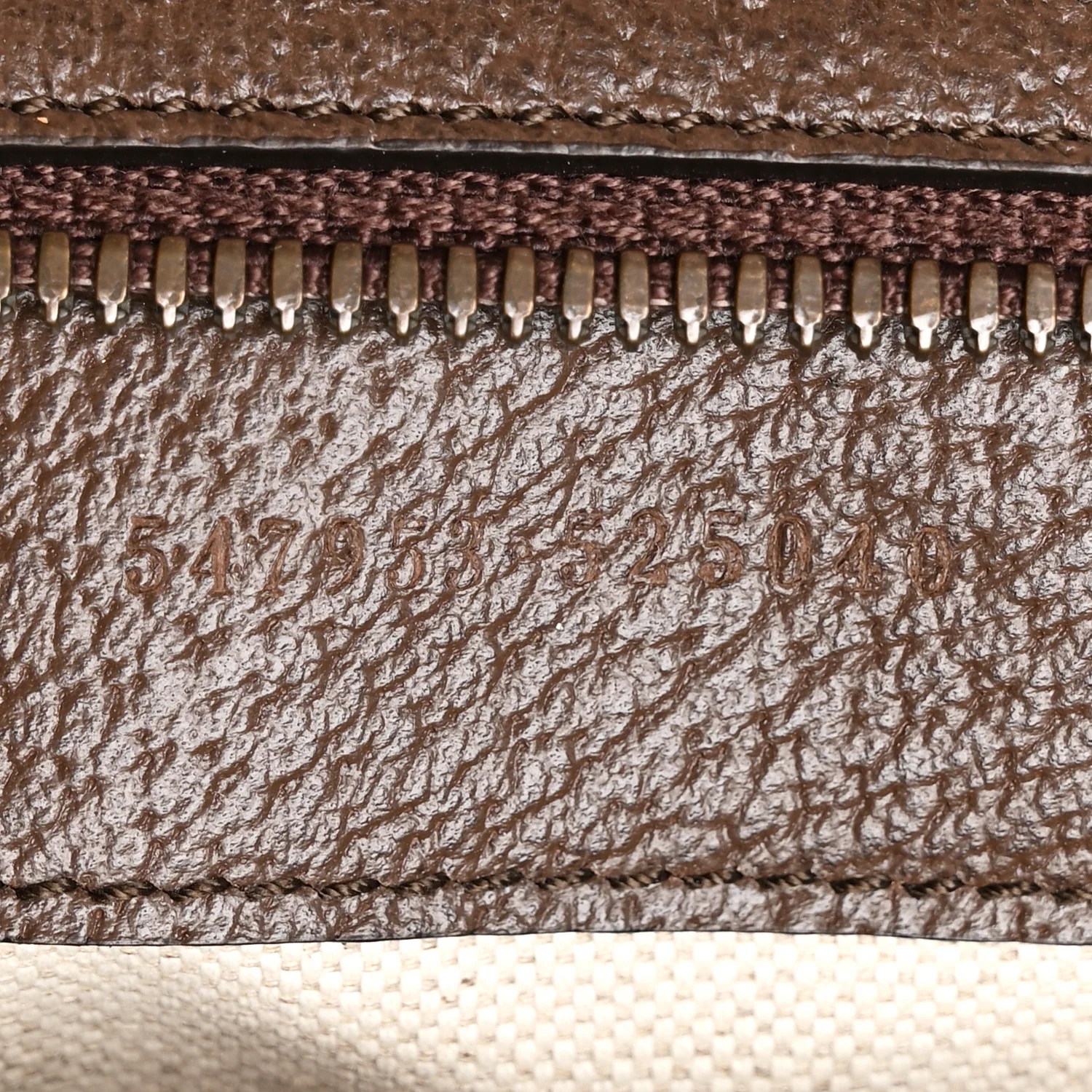GG Supreme Monogram Textured Dollar Calfskin Web Medium Ophidia Carry-On Duffle Bag Beige Ebony New Acero - Image 7