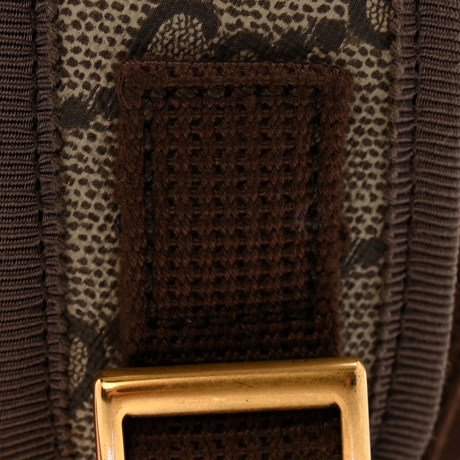 GG Supreme Monogram Textured Dollar Calfskin Web Small Ophidia Day Backpack Beige Ebony Fluorescent Fuchsia - Image 13