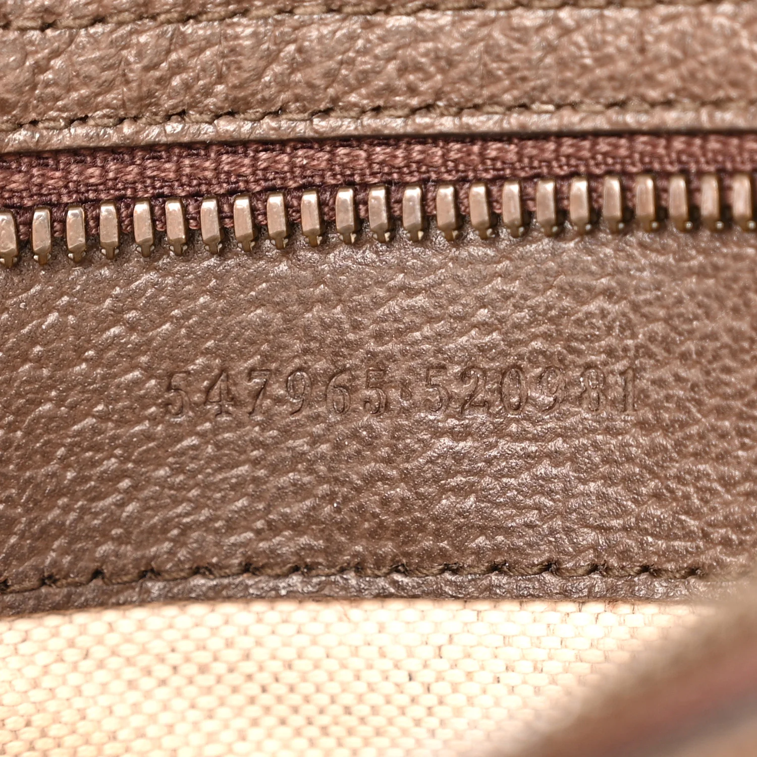 GG Supreme Monogram Textured Dollar Calfskin Web Small Ophidia Day Backpack Beige Ebony Fluorescent Fuchsia - Image 7