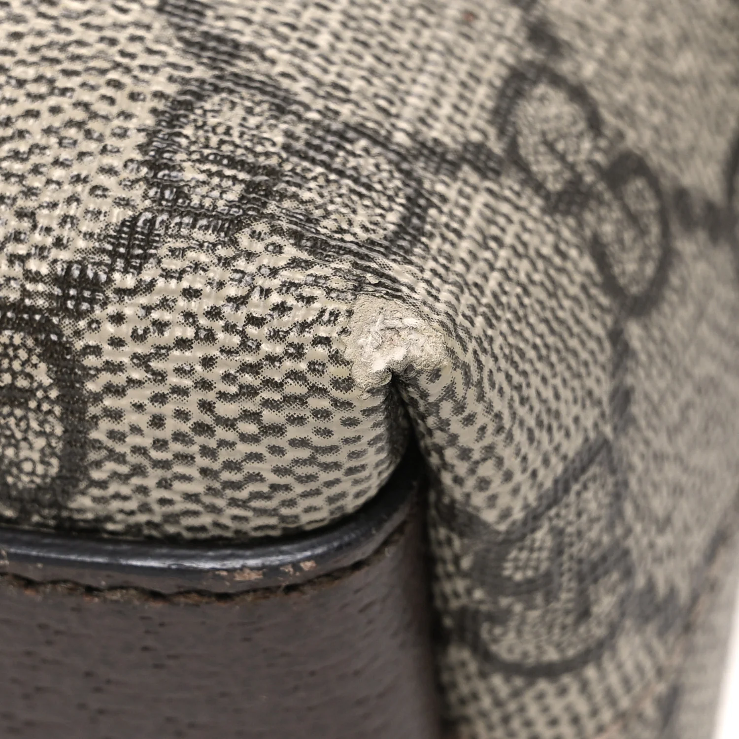 GG Supreme Monogram Textured Dollar Calfskin Web Small Ophidia Dome Shoulder Bag Beige Ebony New Acero - Image 10