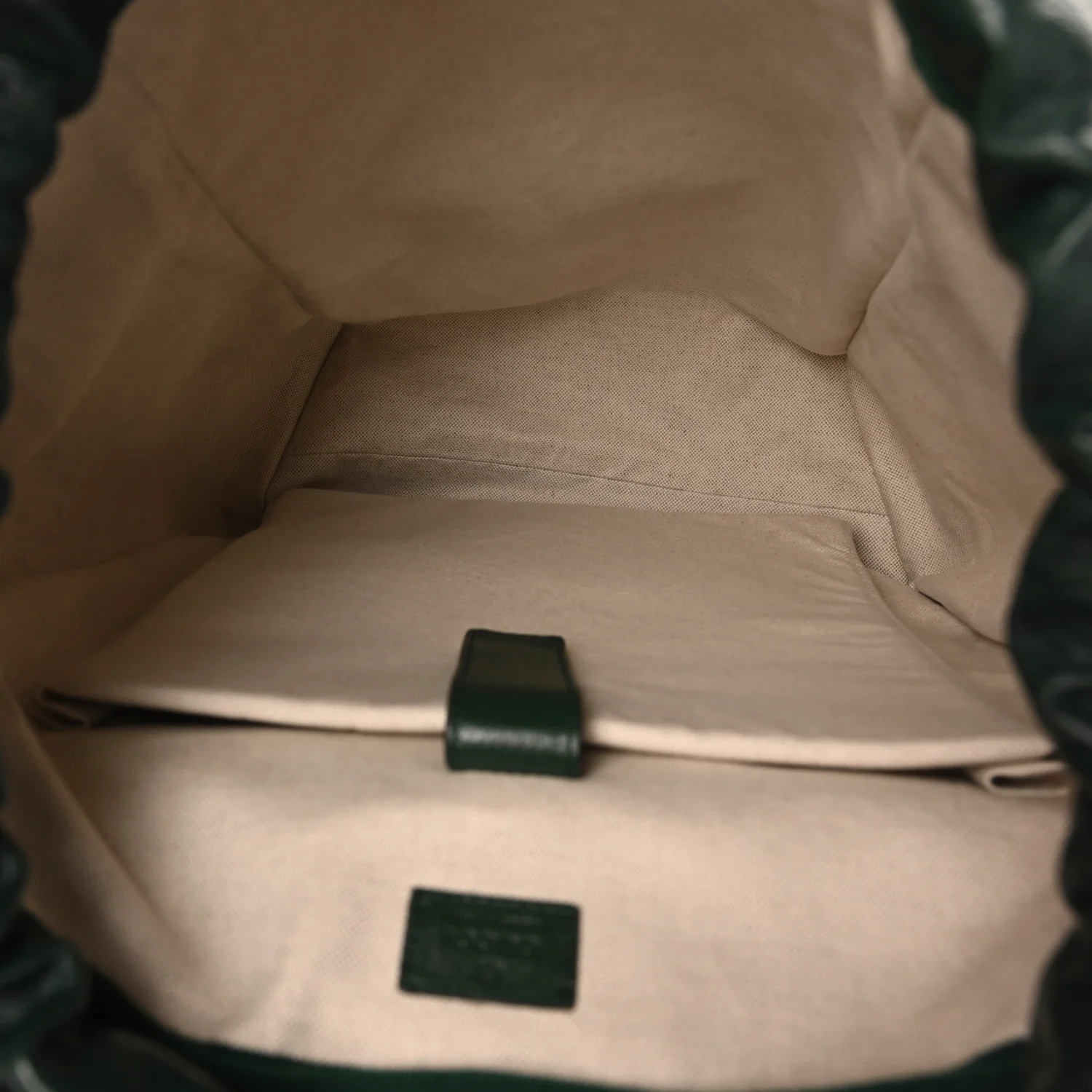 Grained Calfskin Medium Ophidia Double Buckle Backpack Green - Image 4