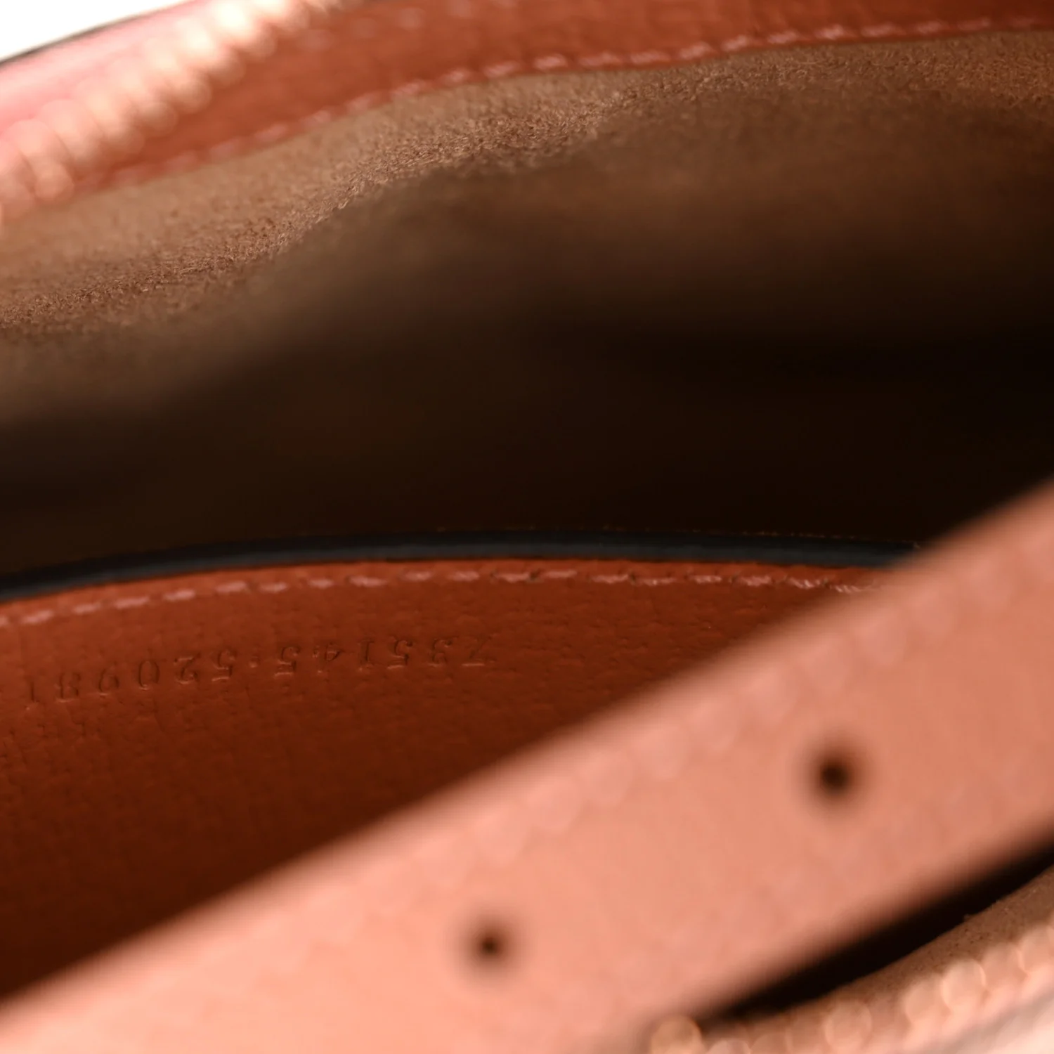 Monogram Textured Dollar Calfskin Small Ophidia Hobo Cloche Rose Pink - Image 7