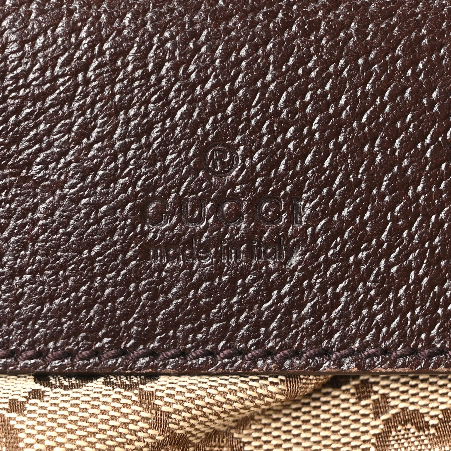 Monogram Web Belt Bag Dark Brown - Image 6