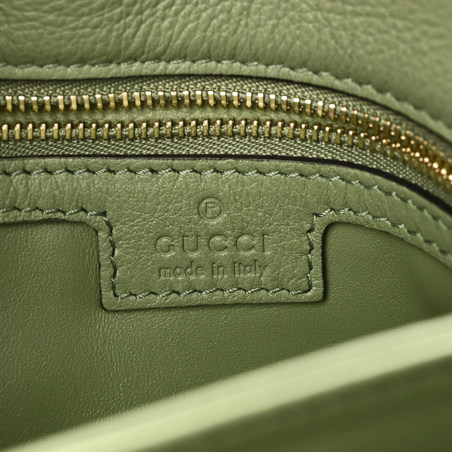 Roxy Calfskin Web Medium Blondie Top Handle Shoulder Flap Bag Salamander Green - Image 6