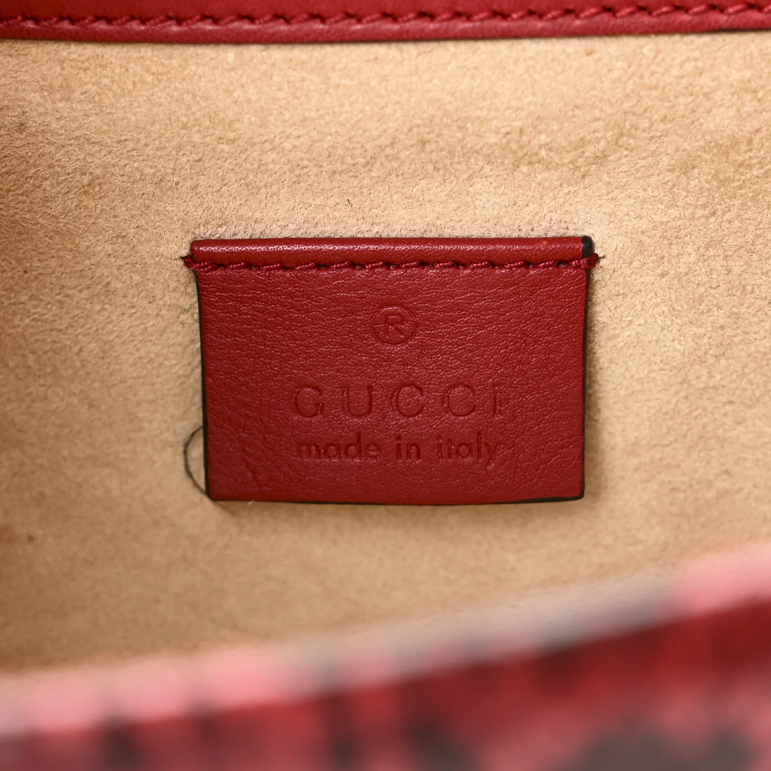 Snakeskin Mini Dionysus Shoulder Bag Red - Image 6
