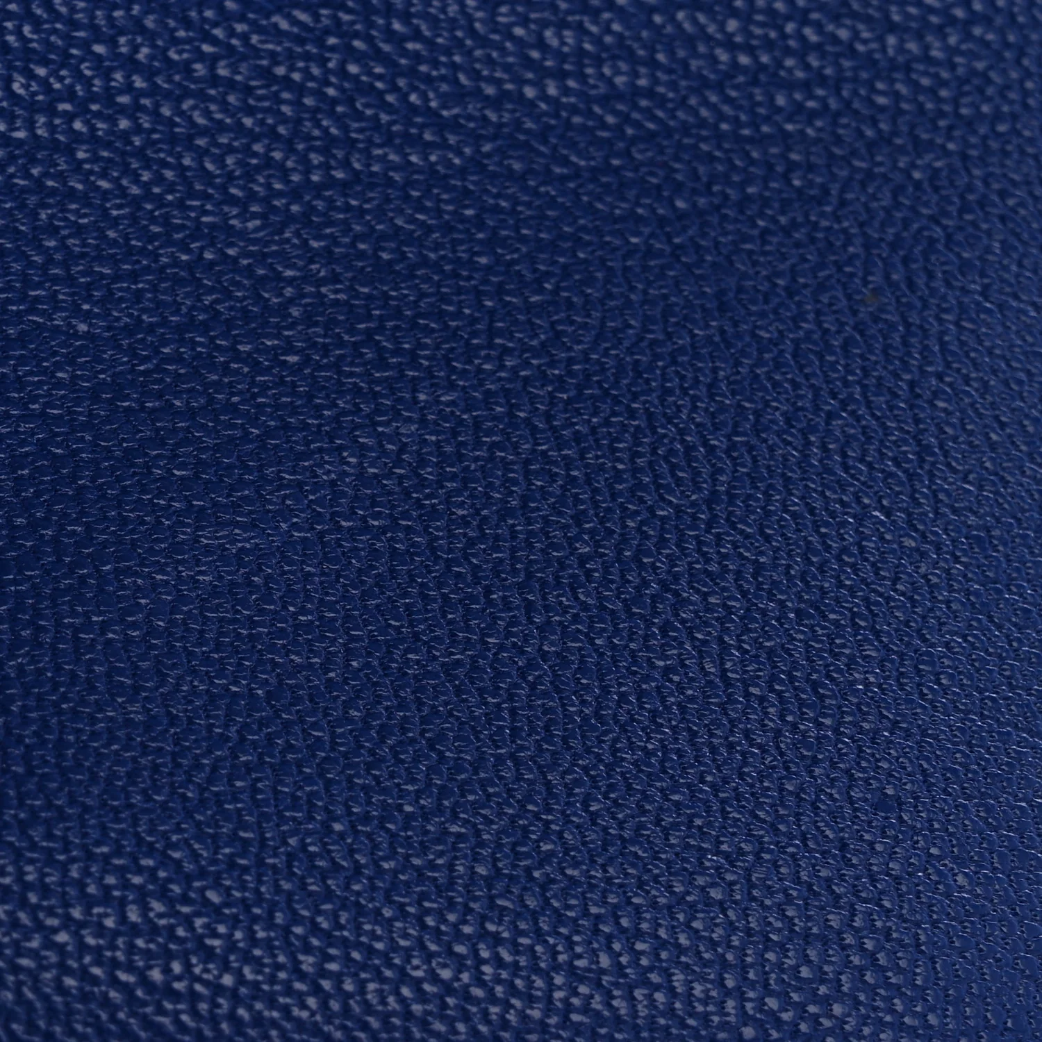 Chevre Chamkila Calvi Card Case Bleu Electrique - Image 9