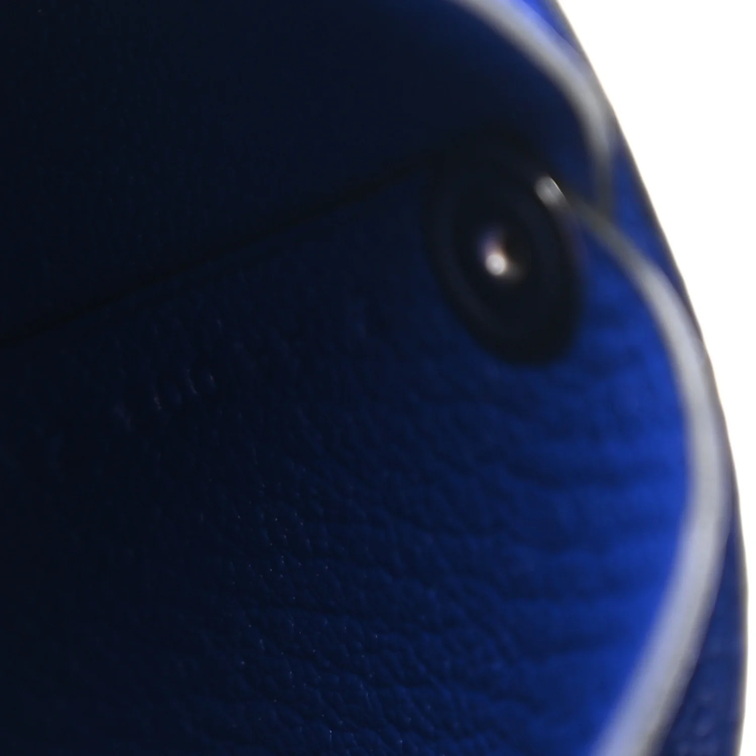 Chevre Mysore Bastia Coin Purse Bleu Electrique - Image 7