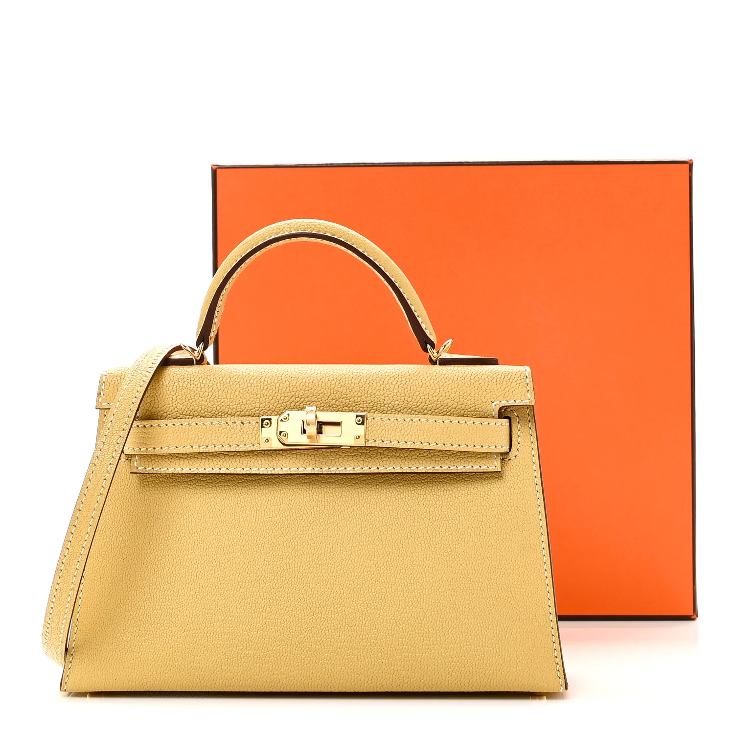 Chevre Mysore Mini Kelly Sellier 20 Foin - Image 10
