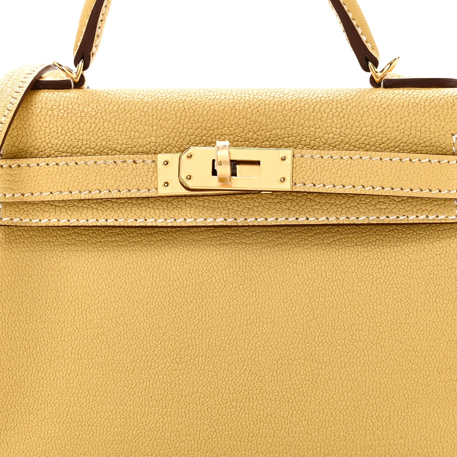 Chevre Mysore Mini Kelly Sellier 20 Foin - Image 7