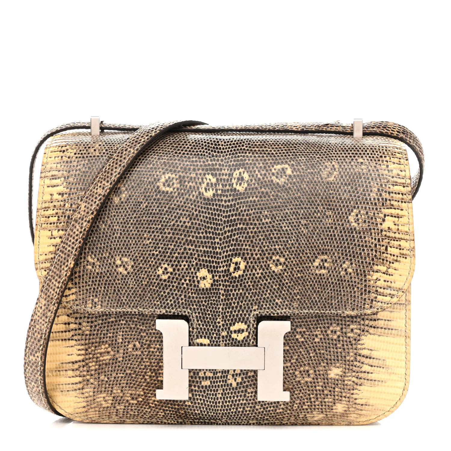 Lizard Constance 18 Ombre