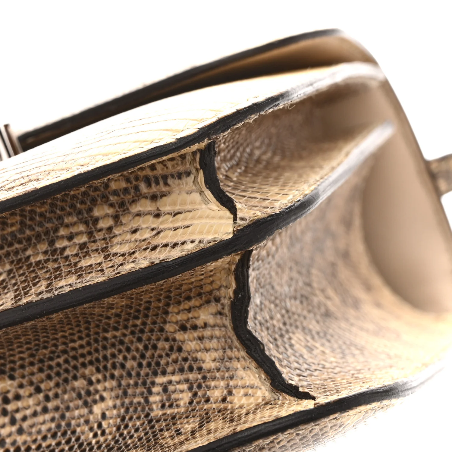 Lizard Constance 18 Ombre - Image 13