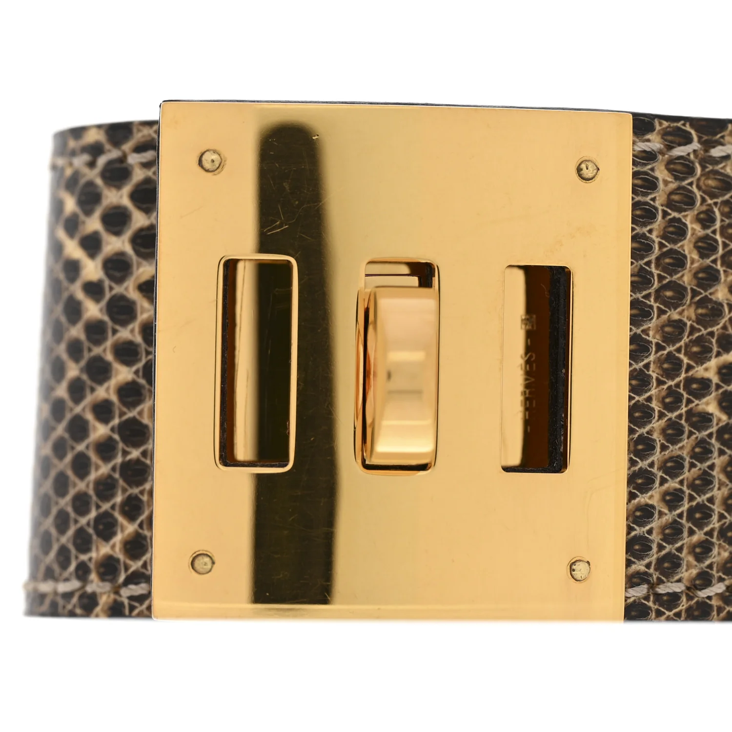 Lizard Kelly Dog Bracelet T3 Ombre - Image 7