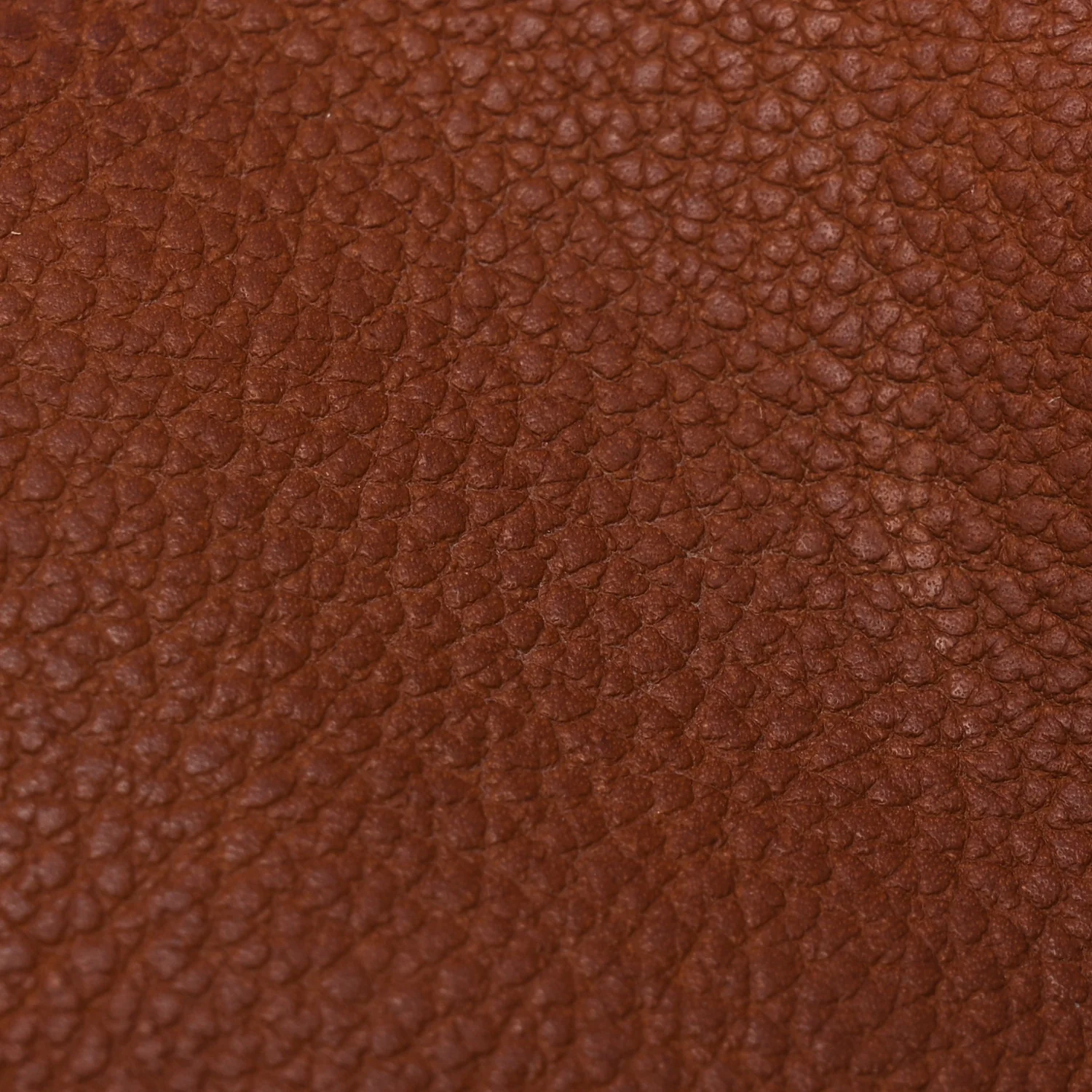 Natural Barenia Faubourg Hac A Dos PM Backpack Fauve - Image 14
