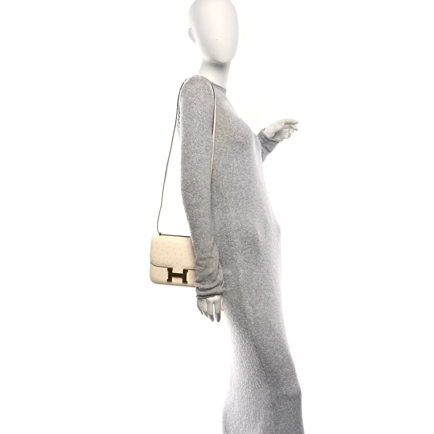 Ostrich Constance 18 Nata - Image 2