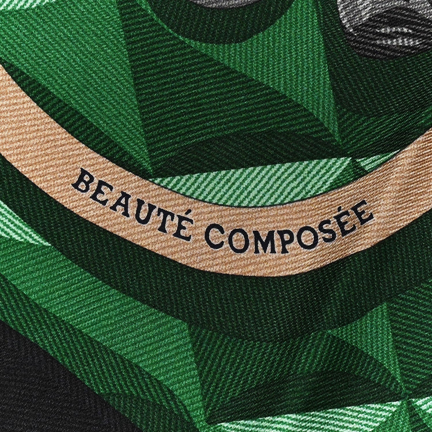 Silk Beaute Composee Scarf 90 Black Emeraude Multicolor - Image 5