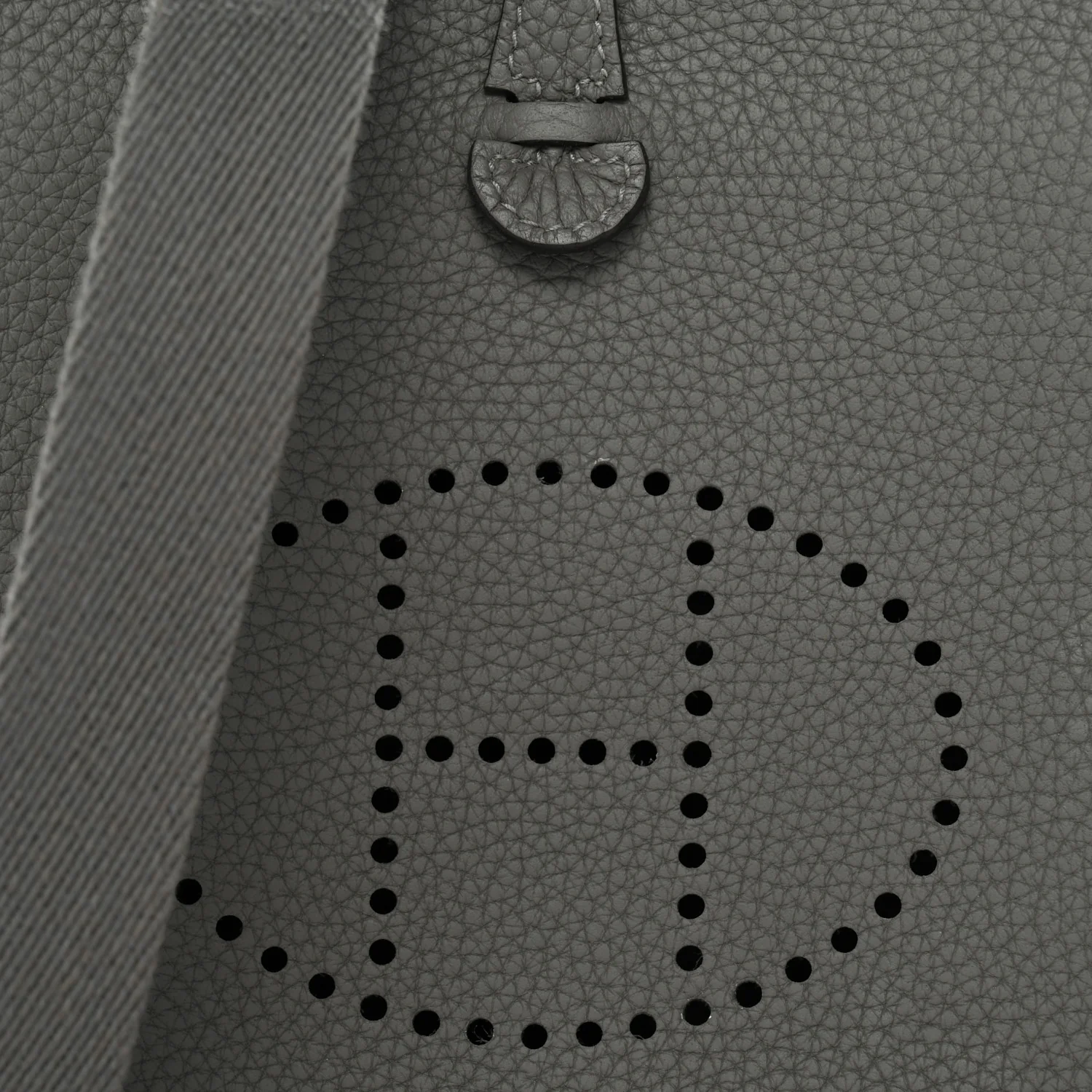 Taurillon Clemence Evelyne TPM Gris Meyer - Image 8