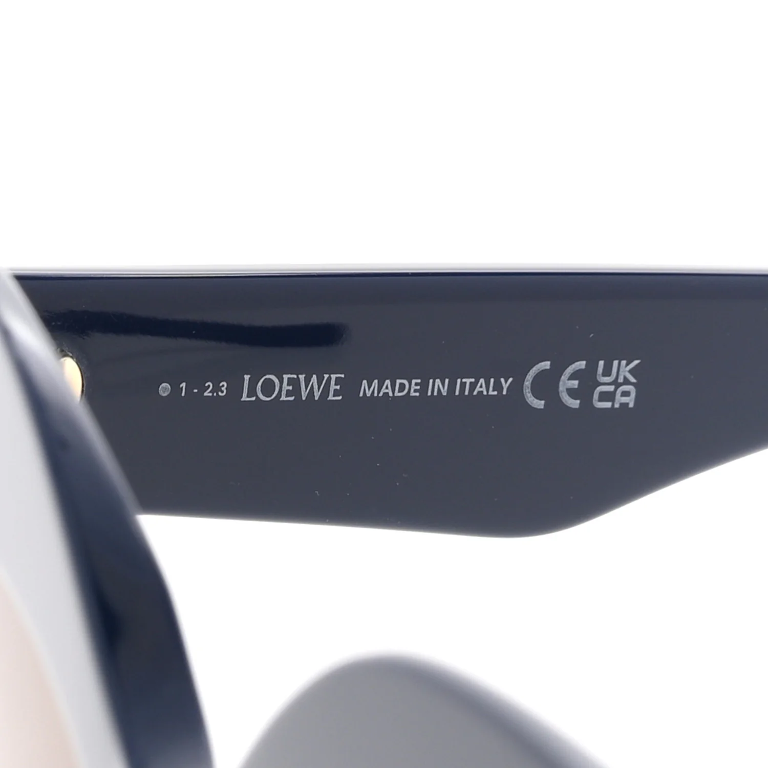 Acetate Anagram Cat Eye Sunglasses LW40127I Blue - Image 5