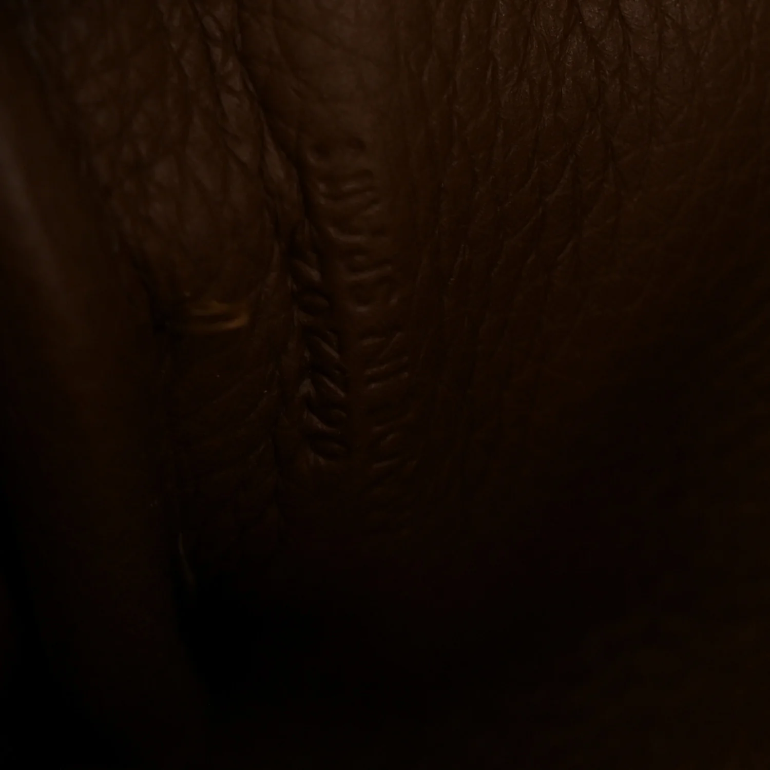 Soft Grained Calfskin Amazona 23 Cacao - Image 7