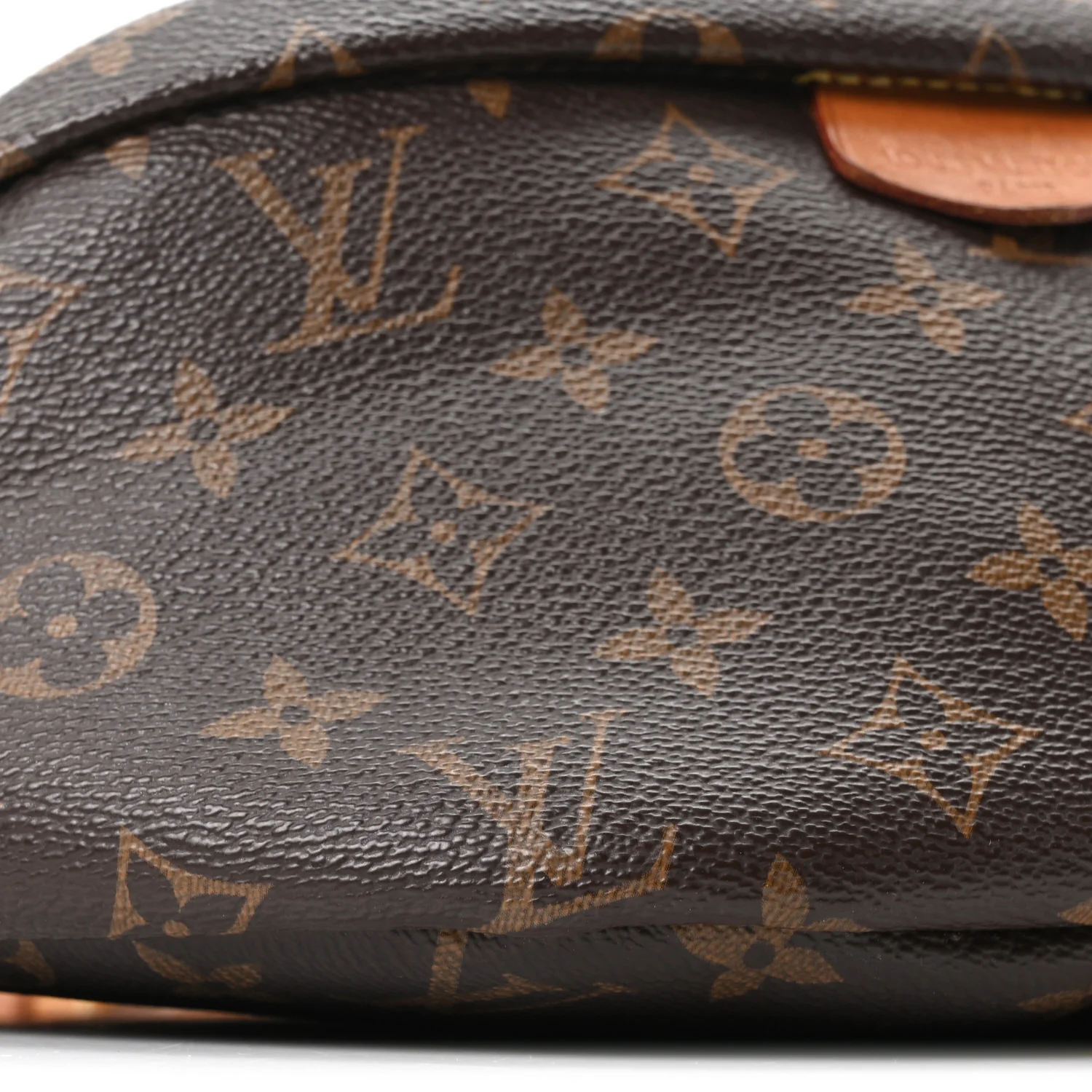Monogram Bumbag - Image 7