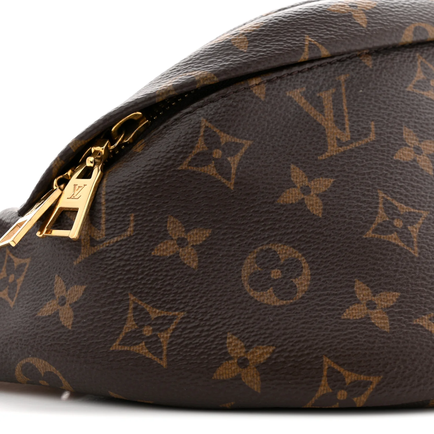 Monogram Bumbag - Image 8