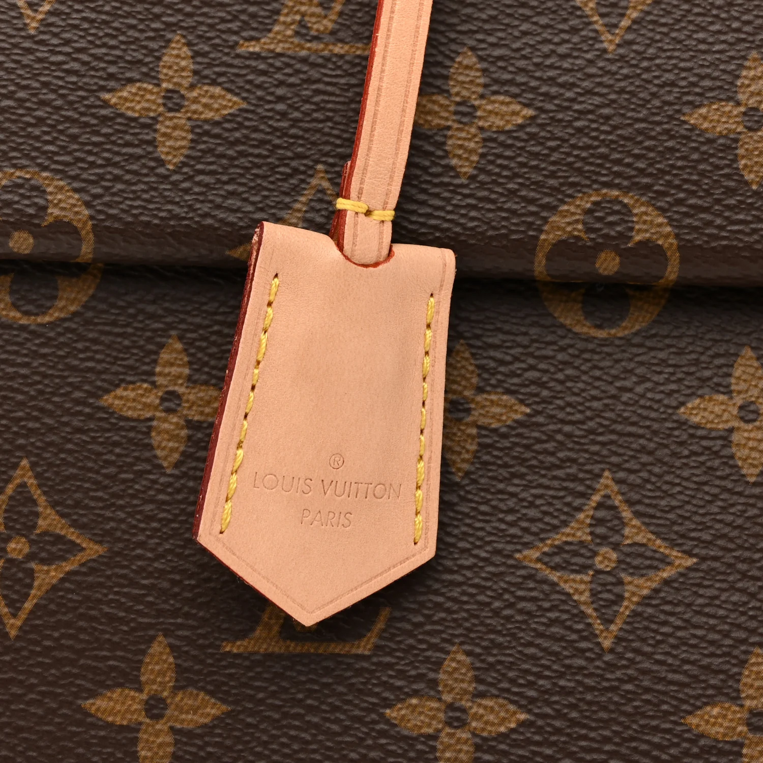 Monogram Cluny MM - Image 10