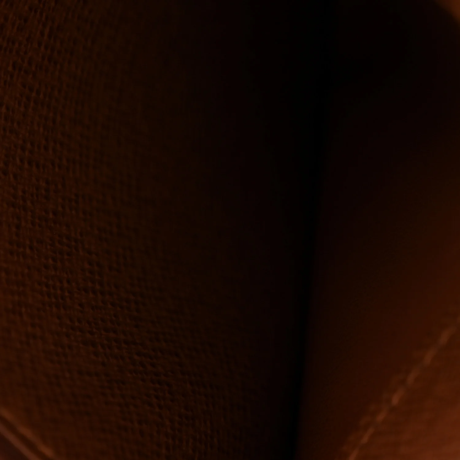 Monogram Insolite Wallet - Image 7