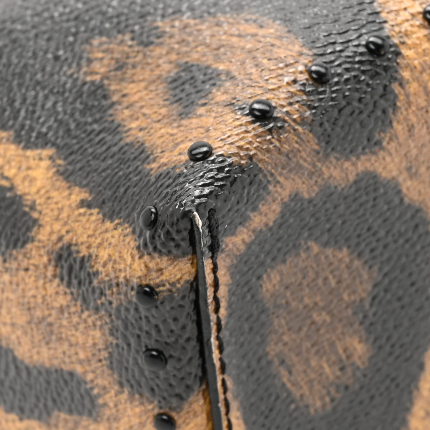 Monogram Leopard Camera Box - Image 11